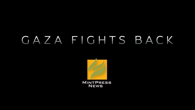 Gaza Fights Back | Original MPN Documentary (English subtitles)