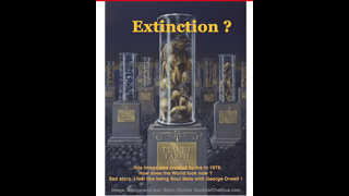 Screenshot 2022-06-06 13.05.28