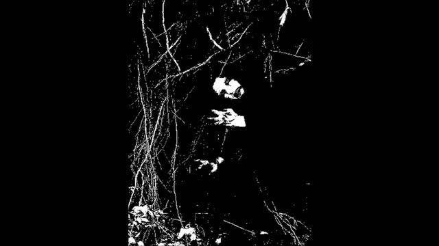 Aryan Triumph - Disrupt the Reign of Z.O.G.