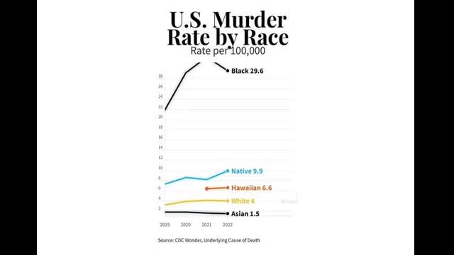 US Murder Rate By Race
