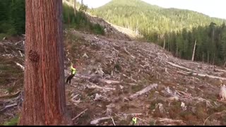 Climbing Big Lonely Doug