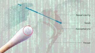 CV19 Nasal Swab Exposed (ITS NOT A TEST)