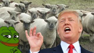 "ITS TIME 2 WAKE UP" IM EMBARRASSED 4 YOU