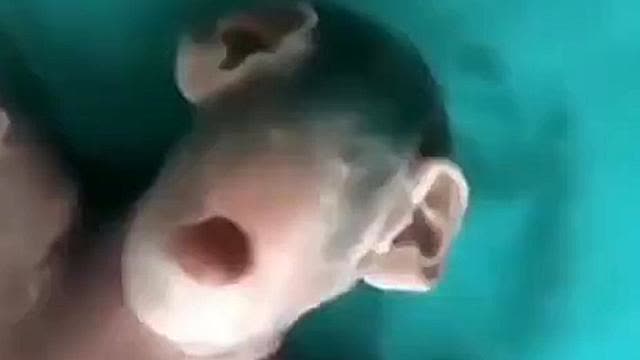 Man Playing God Creating Abominations