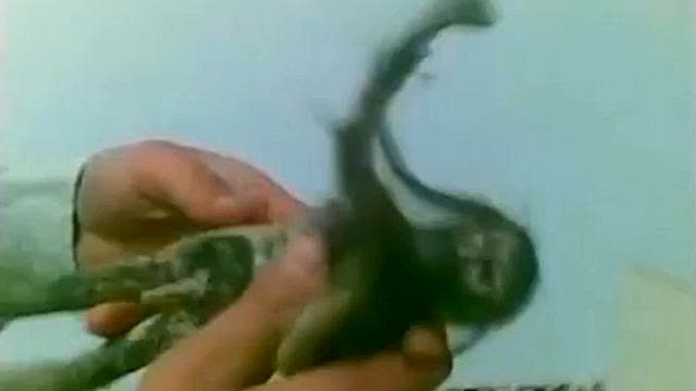 DEMONS COME IN DIFFERENT SIZES AND TYPES (SPIRITUAL AND PHYSICAL)