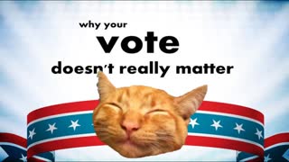 VOTING IS A JOKE