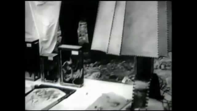 Buchenwald - Ein Dumm Dreistes Portrait Des Boesen