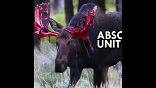 Welcom_back_National_Socialist_Workers_-_inspirational_-_Horst_Wessel_-_German_and_English_versions