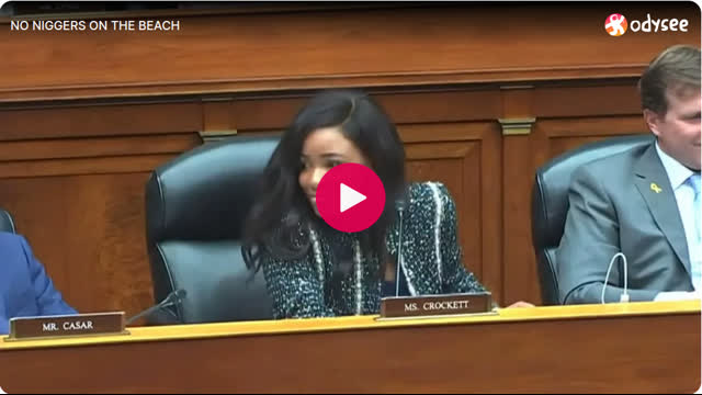 NO NIGGERS ON THE BEACH