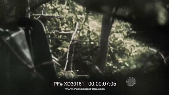 XD30161 BUCHENWALD Color 25fps