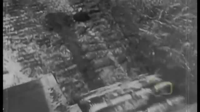 Awesome Tank Battles Michael Wittman Waffen SS Tank Commander WWII