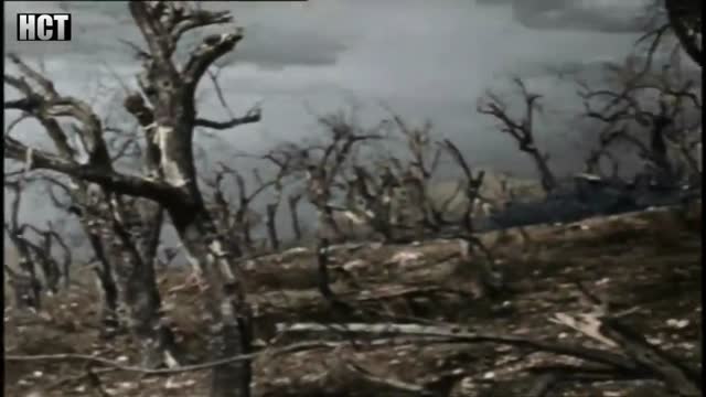 World War 2 the italian front 1944-1945 combat footage