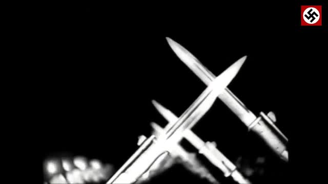 Adolf Hitler   The movement National Socialists