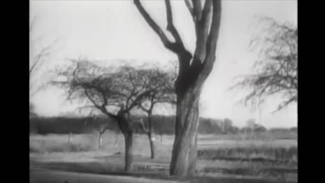 Third Reich supercar Mercedes Benz W154