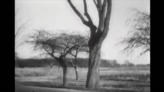 Third Reich supercar Mercedes Benz W154