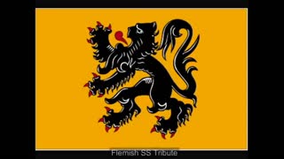 Flemish SS Tribute