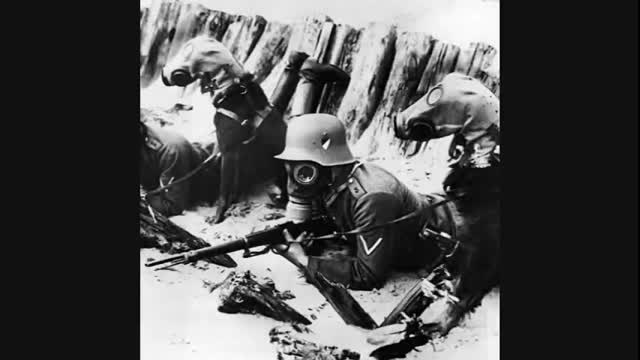 National Socialism Wien Bleibt Wien