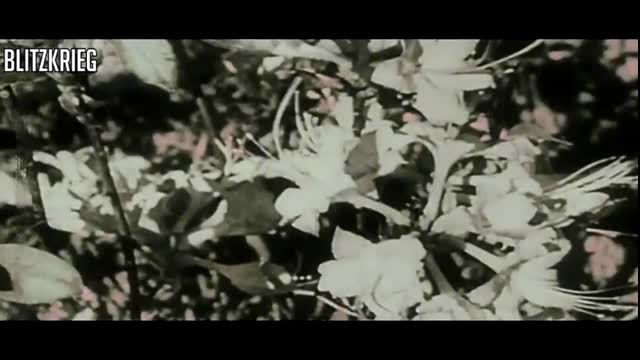 Fuhrer spends his birthday at his headquarters