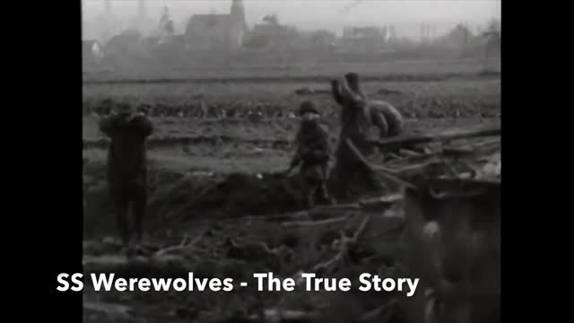 SS Werewolves  Werwolf    The True Story by Mark Felton