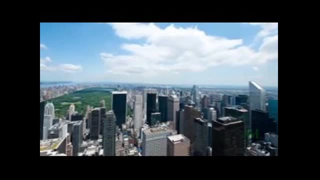 VERTIGO POLITIX   Diversity   Proximity   War