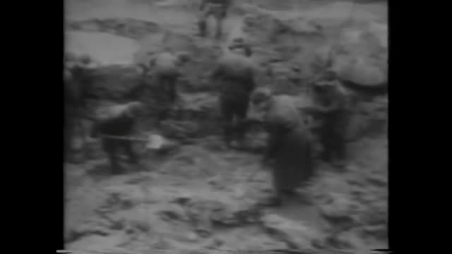 Soviet Crimes Against Humanity Katyn and Vinnytsia