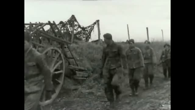 Ranks of the Waffen SS