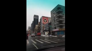 The Phoenix rises and it says The future is ours