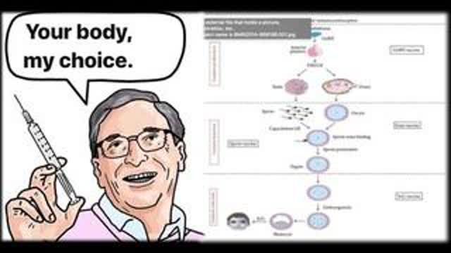 THE VACCINE CHIP AGENDA EXPOSED BY COVID RED PILLS