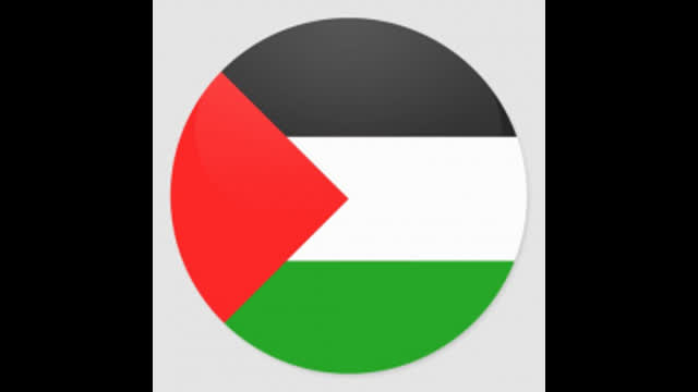 The Irish occupy a supermarket in support of Palestine