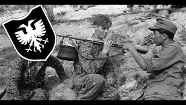To the uneducated Muslim haters: ðŸ‡¦ðŸ‡± Muslim Albanian SS Division Skanderbeg