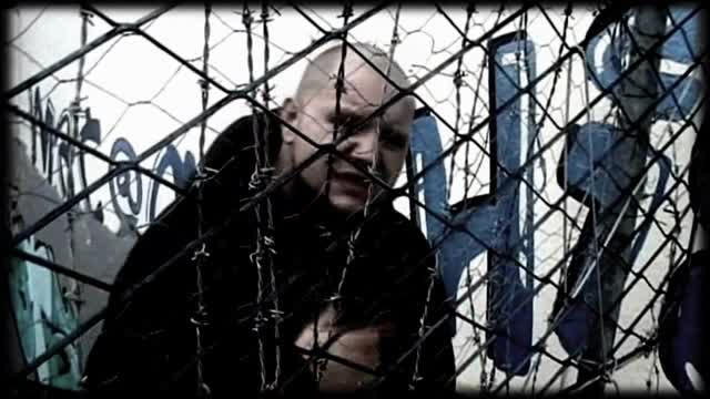 Guerilla News [Classified Intelligence]