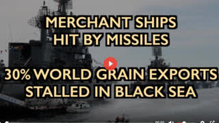 SHIPPERS CUT OFF RUSSIA - WHEAT PRICE EXPLODES - CYBERA