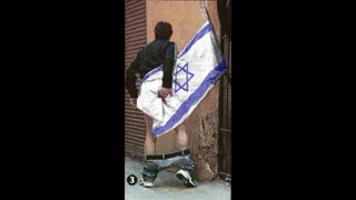 Jewish Blotting Paper