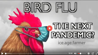 BIRD FLU: THE NEXT PANDEMIC? - Ice age farmer