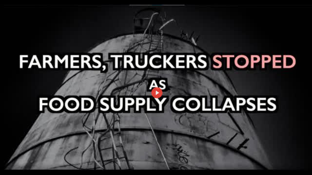 FARMERS, TRUCKERS STOPPED AS MAINSTREAM FOOD SUPPLY COL            Ice Age Farmer