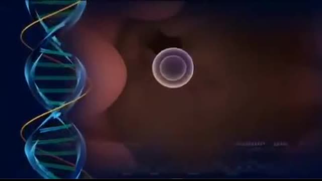 Epicyte: Contraceptive Corn