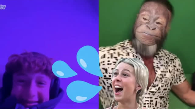 Hawk Tooie Freestyle by Handsome Truth