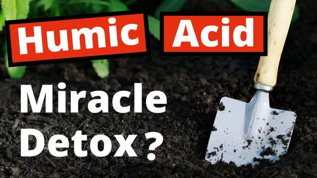 Exposed! Hungarian Heavy Metal Detoxification Studies of Humic Acid