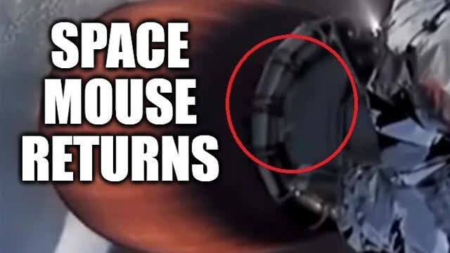 During Elon Musk's Fake Space Launch Last Week It Seems Like Space Mouse Made Another Appearance ðŸ¤£