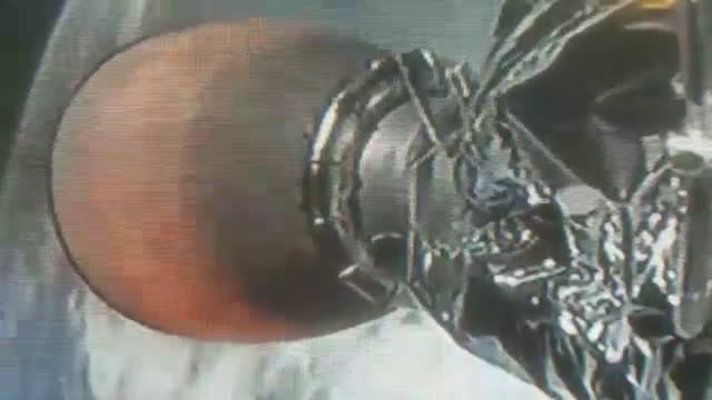 Mouse seen on NASA SpaceX