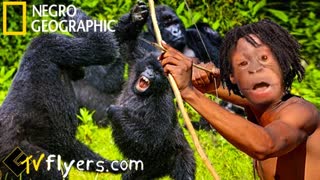 Friday Night Fuhrer HT is LIVE OMETV! Show Starts @ 9pm Eastern / link to super chat! https://entropystream.live/app/HT