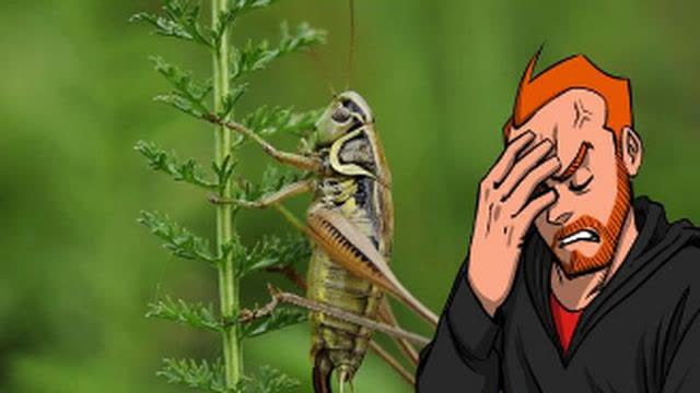 INSECT POWDER ADDED TO OUR FOODS ?