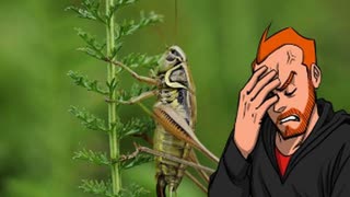 INSECT POWDER ADDED TO OUR FOODS ?