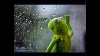 The Flood - 083023 - 0096 - Wednesday!