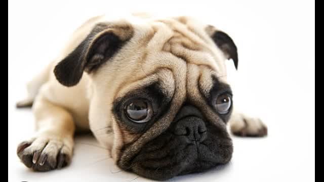 The Flood - 040224 - 0251 - Unbelievable Tuesday Wow...