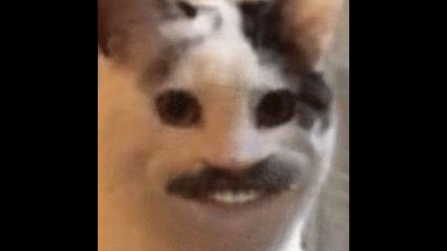 The Flood - 072423 - 0069