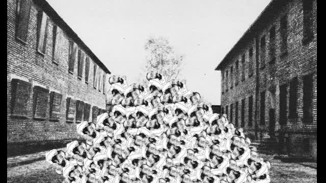 The Flood - 082923 - 0096 - Desemitism Tuesday