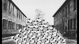 The Flood - 082923 - 0096 - Desemitism Tuesday