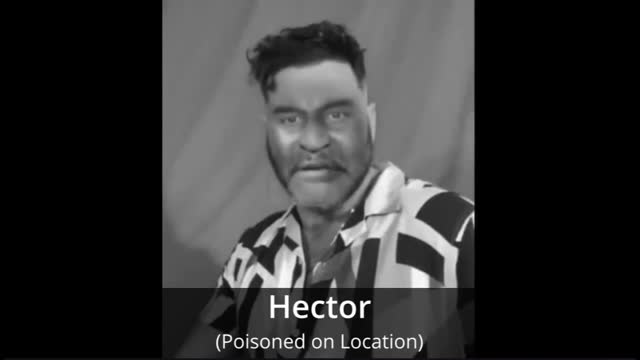 The Flood - 041124 - 0259 - RIP Hector... The Final Mystery.