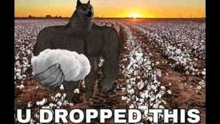 The Flood - 011024 - 0190 - Wednesday!